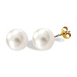 Boucles d'oreilles plaqué or - Perles de Majorque