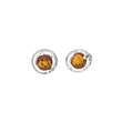 Boucles d'oreilles puce Ambre cerclé d'argent 925/1000 rhodié (3131654RH)