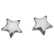 Boucles d'oreilles argent 925/1000e