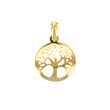 Pendentif 'arbre de vie' en Or 750/1000 et nacre (306005)