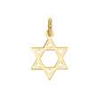 Pendentif Etoile de David grand modèle en Or 375/1000 (396017)