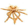 Broche Bente IV  marron clair